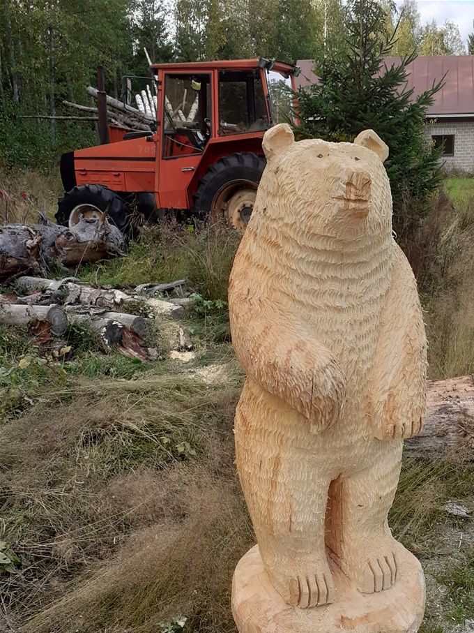 Mietteliäs Karhu Pielavesi