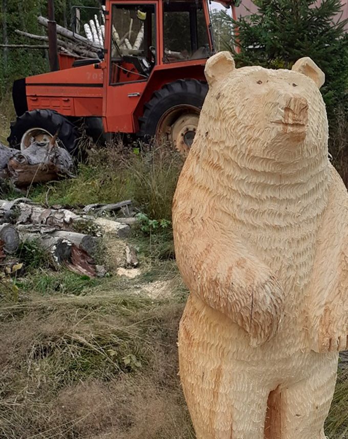 Mietteliäs Karhu Pielavesi